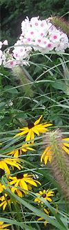 Arkadia Gartengestaltung - Wir g�rtnern f�r Sie!