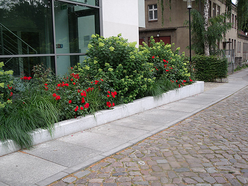 Gr�nfl�chenpflege Haus der Land- und Ern�hrungswirtschaft