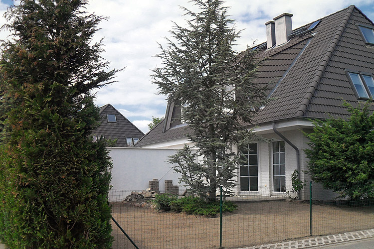 Ein paar Tage sp�ter: Pflegeschnitt f�r die Geh�lze