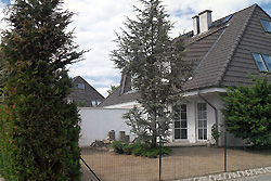 Ein paar Tage sp�ter: Pflegeschnitt f�r die Geh�lze