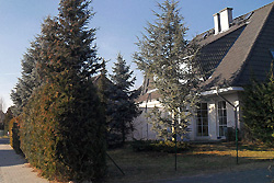 Die Geh�lze im Vorgarten haben einen R�ckschnitt n�tig