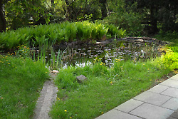 Ges�uberter Teich und Rasenkur