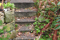 Die Treppe vor dem Umbau - leicht besch�digt und zu schmal