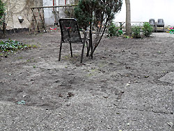 Innenhof: Hier w�chst kein Gras mehr...
