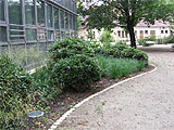 Gewerbegrundst�ck