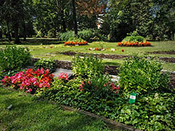 Ruhegemeinschaft Zentralfriedhof Friedrichsfelde - Blick �ber die neue Anlage im Sommer 2020