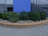 Moderne Wohnanlage mit Gr�nfl�chen