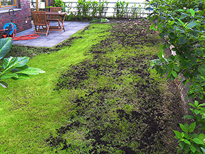 Abschlie�ende Abdeckung der Fl�chen mit Mutterboden