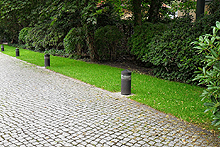 Kr�ftiger gesunder Rasen
