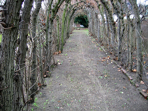 Gro�er Garten mit Allee